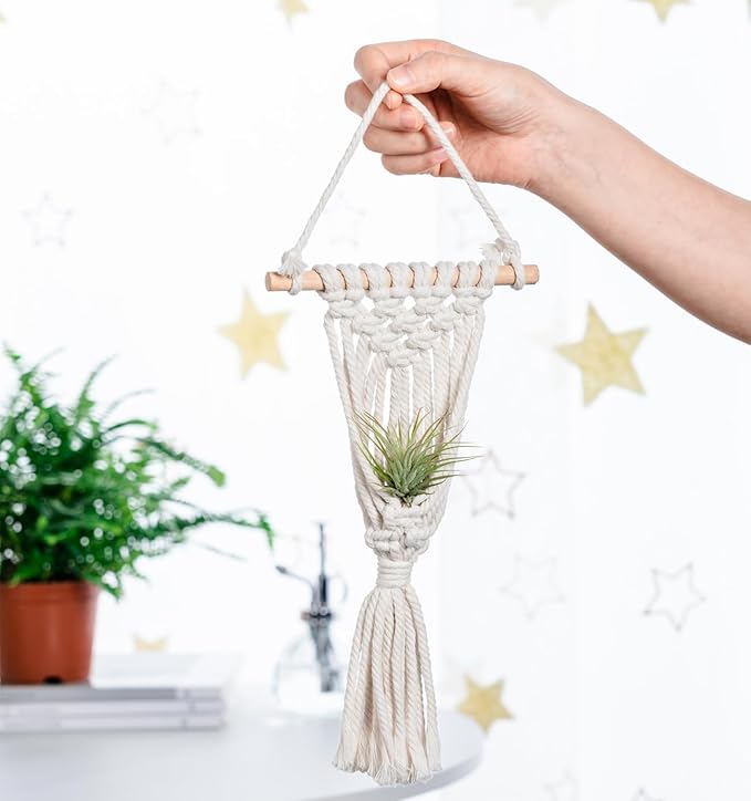 Melphoe 4 Pack Air Plants Holders Stand Air Fern Macrame Plant Hanger Indoor Hanging Planter Basket for Tillandsias Display, Boho Home Decoration Gift Idea