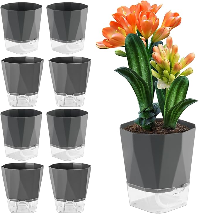 6 Pack Self Watering Plant Pots 8.4" Self Watering Planters for Indoor and Outdoor Plants African Violet Self Watering Clear Pots for Plants Large Herb Orchid Flower Houseplant Pots, Dark Grey