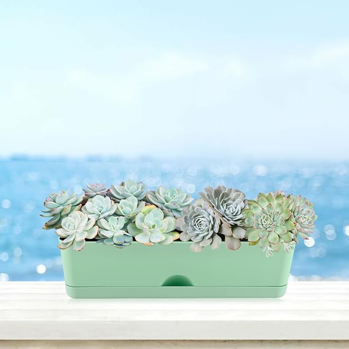 6 Pack Rectangle Planter 16x4.4 Inch Window Boxes Planters Rectangular Large Window Sill Planters Indoor Self Watering Plant Pots with Drainage Holes and Saucers Succulent Herb Flower Pots, Green