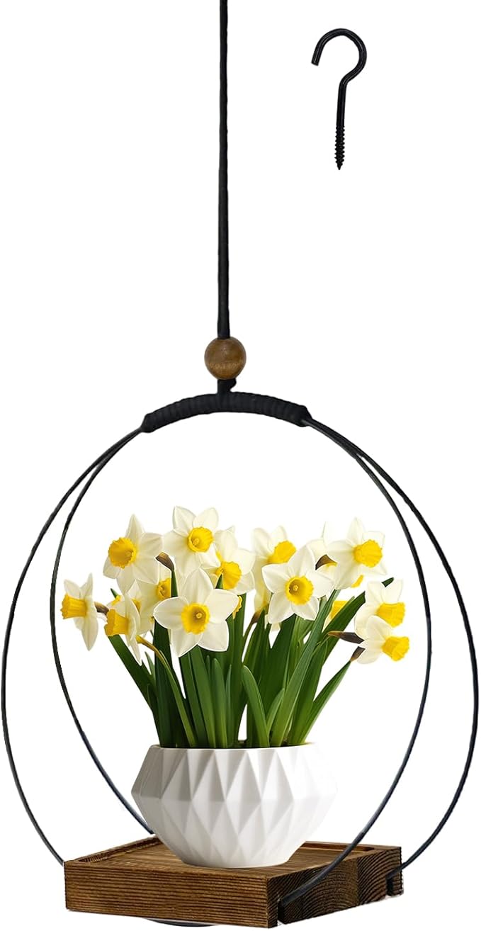 Hanging Planter for Indoor Plants, Black Plant Hanger Indoor with Sturdy Wood Base, Modern Boho Macrame Plant Hanger for 3-5.5 Inch Pot, Hanging Wall Ceiling Window Home Decor (Pots Not Included)