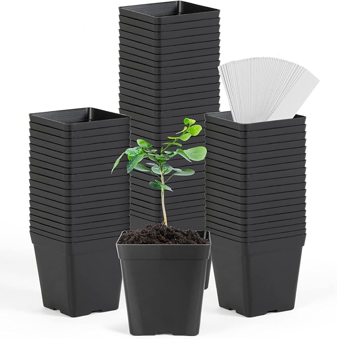 June Fox Square Nursery Pots 3.3 Inches Flexible Plastic Seedling Pots Square Pots for Plants, Succulent, Flower, Pack of 100, with 100 PCS Plant Labels