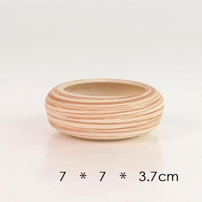 Sun-E 6 in Set 7.6 cm Ceramic Wooden Pattern Succulent Plant Pot Cactus Plant Pot Flower Pot Container Planter Gift Idea