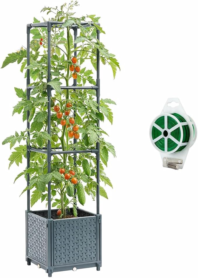 Raised Garden Bed with Tomato Planter Cage, Trellis Planter Boxes for Outdoor Patio Greenhouse Gardening Climbing Vegetables