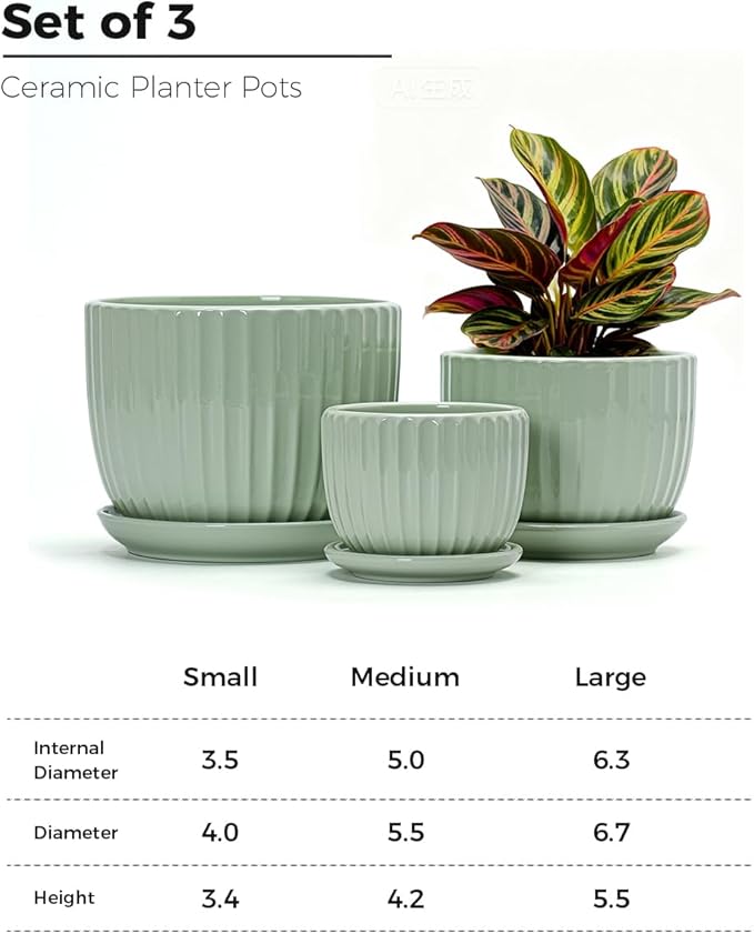 Ton Sin Flower Pots, Light Green Ceramic Plant Pots Set of 3,Small Glazed Succulent Pots with Drainage Hole,Cactus Planter with Saucer,Outdoor Garden Pots (Green)
