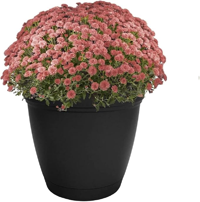 The HC Companies Eclipse Round Planter with Saucer - Outdoor & Indoor Plant Pot with Drainage Holes - Lightweight, UV-Resistant Plastic Pots for Plants, Flowers & Herbs (6" Black, Pack of 1)