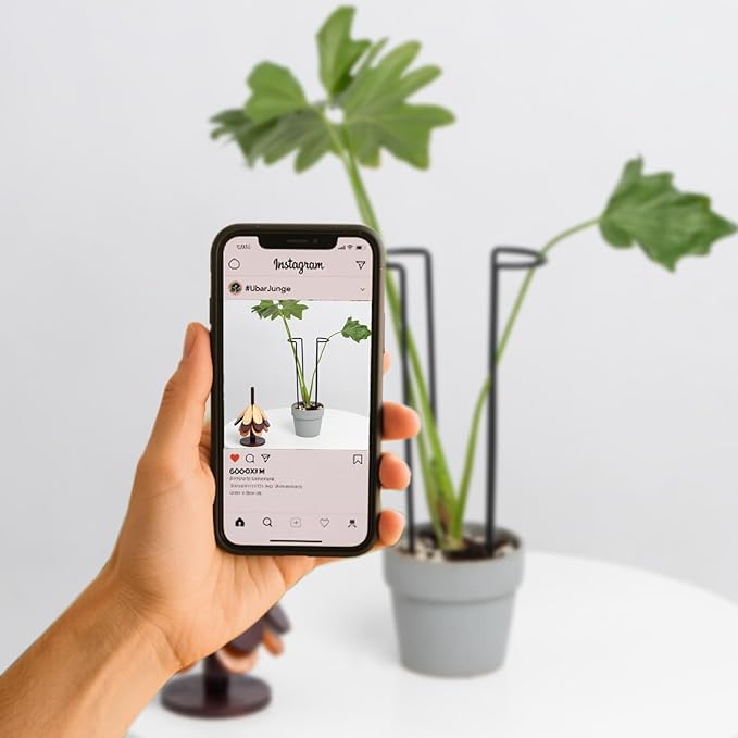 10-Pack Monstera Plant Support - 12 Inch Durable Iron U-Shaped Trellis Stakes for Indoor & Outdoor Medium-Sized Potted Plants - Perfect Stem Holder for Monstera & More