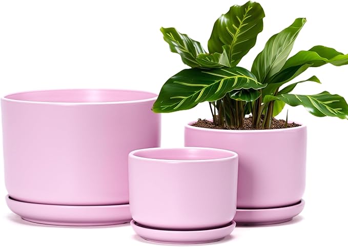 Ton Sin Pink Flower Pots,Ceramic Planter Pot for Indoor Plants,Set of 3 Flower Pot with Drainage Holes and Tray,Cute House Plant Pot for Succulent, Orchid, Cactus(Matte Pink)