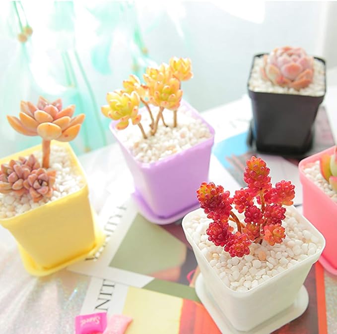 Anyumocz 24 Pack Plastic Square Nursery Pots 3 Inch Plastic Plant Pots,Flower Pot with Tray Saucer for Indoor Outdoor Garden Office Decor