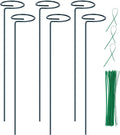 6PCS Single Stem Plant Support Stakes, 16 Inch Monstera Plant Support with 50 PCS Twist Ties, Garden Open Ring Plants Stake, Versatile Plants Stakes for Amaryllis, Rose, Tomatoes, Lily, Peony, Orchid