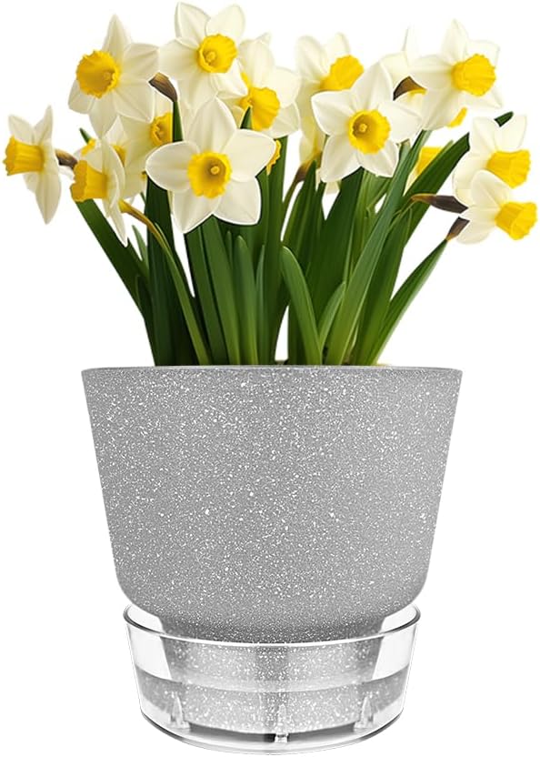 Plant Pots - 6" Orchid Pot, 5 Pack Orchid Pots with Holes - Self Watering Pots for Indoor Plants - Plant Pots with Drainage Hole and Tray Saucer (Frosted Gray)