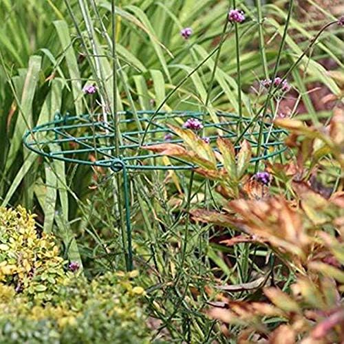 MTB Supply 10 Pack 16 x 24 inch Peony Cages,Grow Through Plant Support Stakes, Flower Support Hoops Heavy Plants Brace Rings