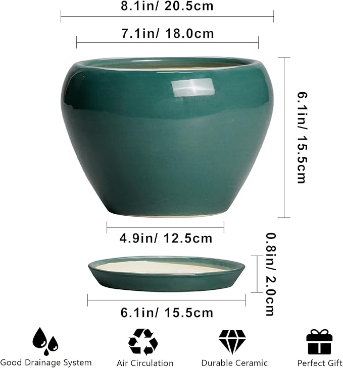 8 Inch Plant Pot - Ceramic Planter for Indoor Outdoor Plants, Glaze Modern Round Ceramic Flower Pot with Drainage Hole and Saucer, Gifts for Plant Lover, Home Office Patio Decor, Green