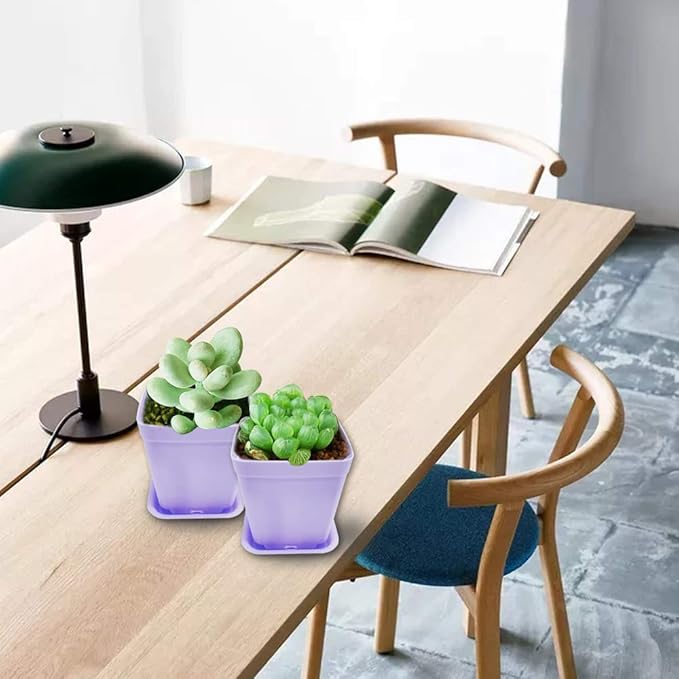 Anyumocz 24 Pack Plastic Square Nursery Pots 3 Inch Plastic Plant Pots,Flower Pot with Tray Saucer for Indoor Outdoor Garden Office Decor