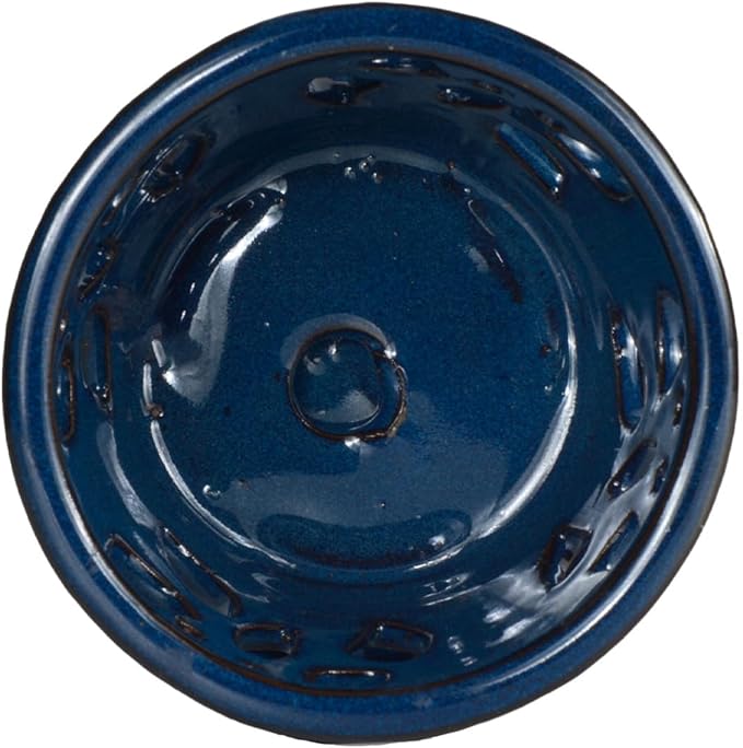 W&W Orchid Pot with Holes and Saucer for Repotting, Blue, 5 Inch