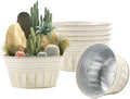vensovo 10 Inches Beige Metal Rustic Plant Pots - 4 Pcs Large Shallow Galvanized Planters with Drain Hole and Rubber Plug, Rustproof Tin Bucket Succulent Pot Indoor Farmhouse Vintage Style for Decor