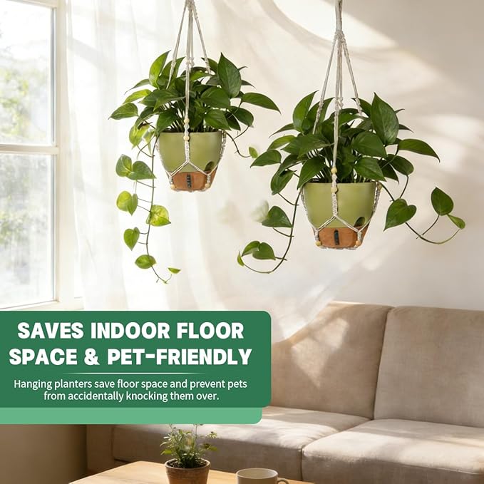 Self-Watering Hanging Planters for Indoor Plants Set 2-Piece Includes Plant Hanging Pot, Drainage-Hole Hanging Pot, and Hanging Basket Rack (10 Inches, Green)