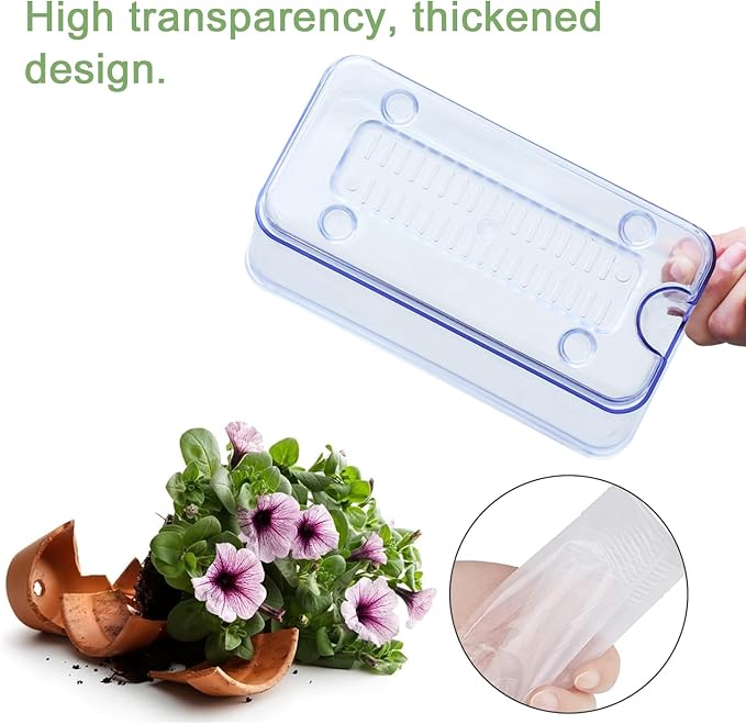 Self Watering Planters - 4 Pack Rectangular Clear Plant Pots with Drainage Holes for Indoor Plants