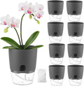 Planterhoma 8 Pack Self Watering Pots for Indoor Plants, 6 Inch Plant Pot Plastic Self Watering Planter for Orchid, African Violet, Small Clear Flower Pots with Drainage Holes and Wicking Rope, Gray