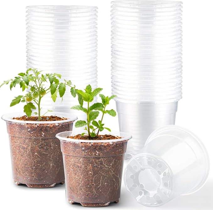 60 Pack 6 Inch Clear Nursery Pots for Plants, Flexible Plastic Plant Pots with Drainage Holes, Transparent Plant Starter Pots for Seedlings, Vegetable, Succulents, Flowers