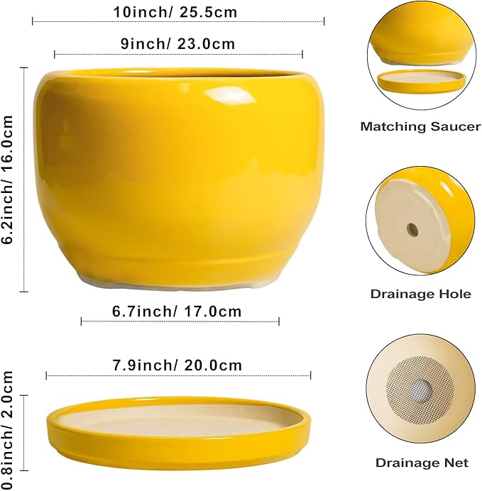 SQOWL 10 Inch Plant Pot - Ceramic Planter with Drainage Hole and Saucer, Modern Large Flower Pot for Indoor Outdoor Plants, Decorative Round Planter, Home Decor, Gifts for Gardeners Woman, Yellow