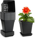 6 inch Plant Pots, 10 Pack Flower Pots Outdoor Indoor, Square Plastic Planter with Drainage Holes and Saucers, 0.5 Gallon Planter Pots for Plants Deep Capacity Garden Pot Container with Tray