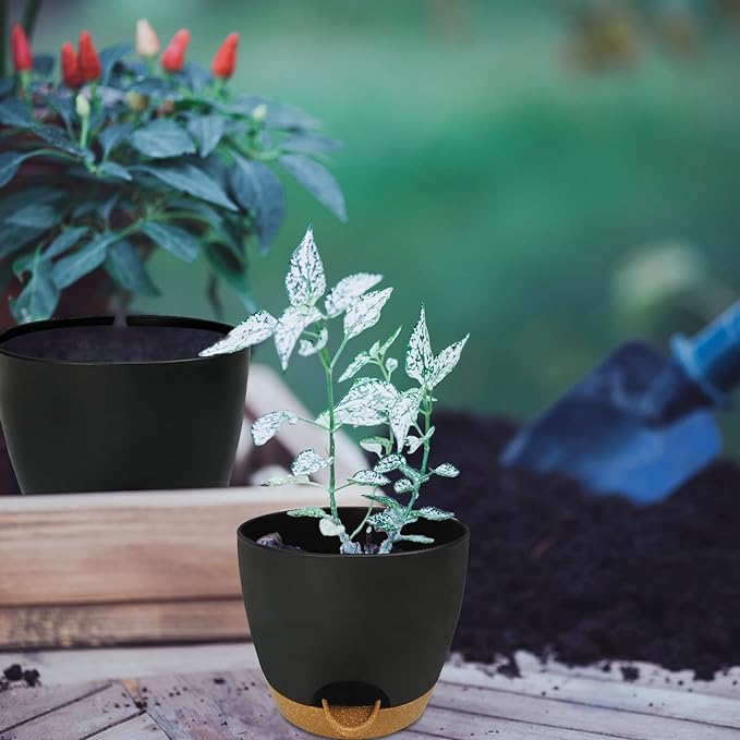 Self Watering Planters with Drainage Holes Reservoir,Nursery Planting Pot for Indoor Decor Garden Plants Succulents,Snake Plant, African Violet,Plastic Flower Pots Set 7+6.5+6+5.5+5 Inch (Black)