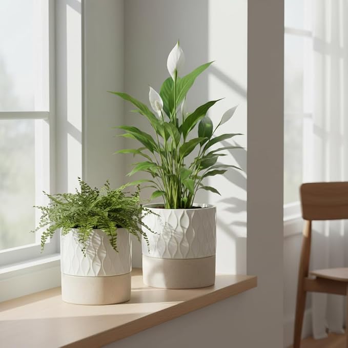 Nihow Self Watering Plant Pot for Indoor Plants: 4.5+6 Inch Ceramic Planter with Drainage Hole & Water Storage Plus - Cylinder Flower Pot with Wick for Herbs - Cream White & Brown Net