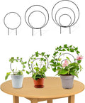 3 Pcs Unique Round Hoya Garden Trellis, Different Small Houseplant Trellis for Climbing Plant Indoor Outdoor, Garden Trellis Plant Support for Potted Ivy and Flowers (Black)