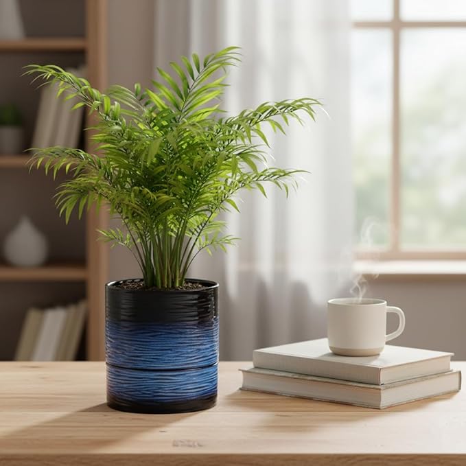 Nihow Self Watering Plant Pot: 6 Inch Ceramic Planter with Drainage Hole & Water Storage Plus for Indoor & Outdoor Plants - Cylinder Round Flower Pot for Succulent/Herbs/Violets - Black & Vivid Blue