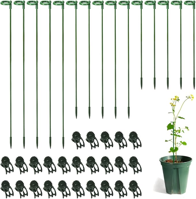 30 Pcs Plant Support Stakes with 30 Pcs Plant Clips Garden Floral Flower Support Single Stem Support Stake for Phalaenopsis Orchid Flower Roses Amaryllis