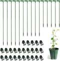 30 Pcs Plant Support Stakes with 30 Pcs Plant Clips Garden Floral Flower Support Single Stem Support Stake for Phalaenopsis Orchid Flower Roses Amaryllis