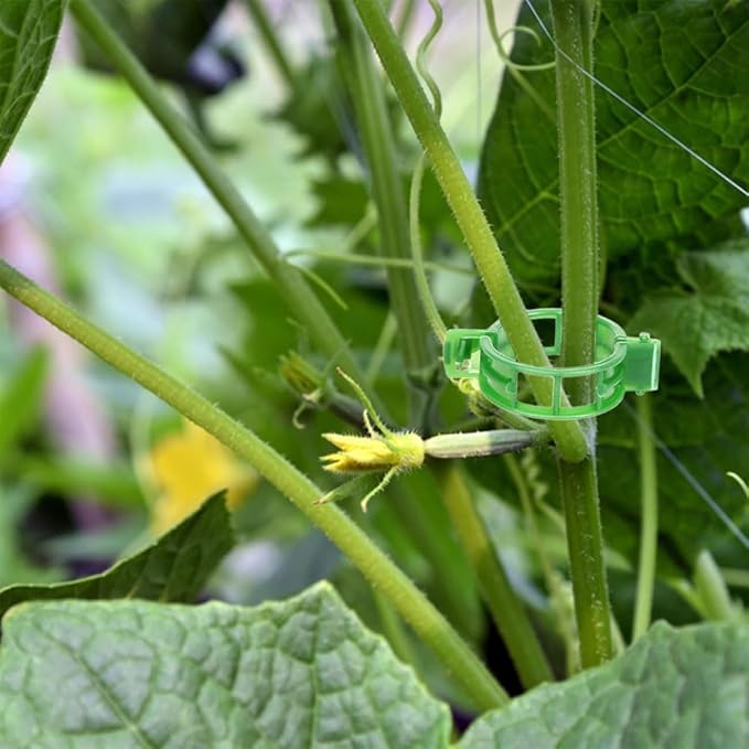 Plant Support Clips, 100 Pcs Tomato Clips, Plastic Trellis Clips, Grape Vine Tomato Vine Vegetables Plants Garden Support Clips to Grow Upright Makes Plants Healthier