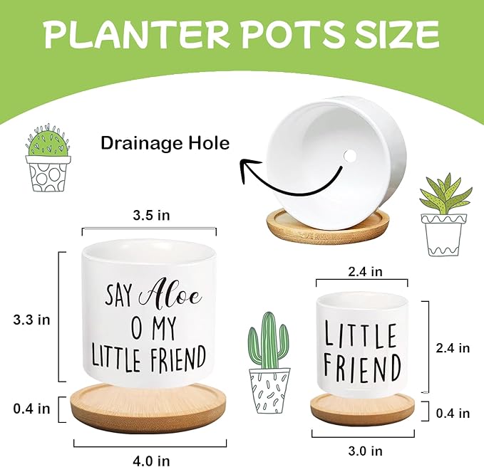 Say Aloe to My Little Friend Planter Pot, Funny Plant Pots, Aloe Plant Pot Succulent Pots with Tray Set of 2 Flower Pots Indoor Pot - Without Plants, Office Home Windowsill Gifts (No Plant)