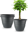 3 Pack Large 16 Inch Plastic Plant Pots for Outdoor Plants,Durable & Lightweight Flower Pots with Drainage Holes,Weather-Resistant Large Planters for Patio Garden(Gray)