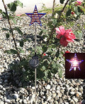 Entertainment House Solar Garden Stake Lights with Color Changing LED or Regular White LED Landscape Path Lights (Set of 2) (USA on The Star)