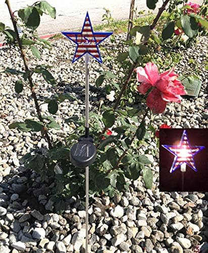 Entertainment House Solar Garden Stake Lights with Color Changing LED or Regular White LED Landscape Path Lights (Set of 2) (USA on The Star)