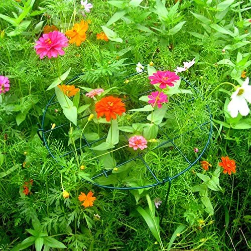 MTB Supply 10 Pack 16 x 24 inch Peony Cages,Grow Through Plant Support Stakes, Flower Support Hoops Heavy Plants Brace Rings