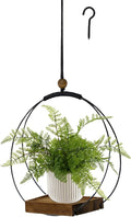 Hanging Planter for Indoor Plants, Black Plant Hanger Indoor with Sturdy Wood Base, Modern Boho Macrame Plant Hanger for 3-5.5 Inch Pot, Hanging Wall Ceiling Window Home Decor (Pots Not Included)