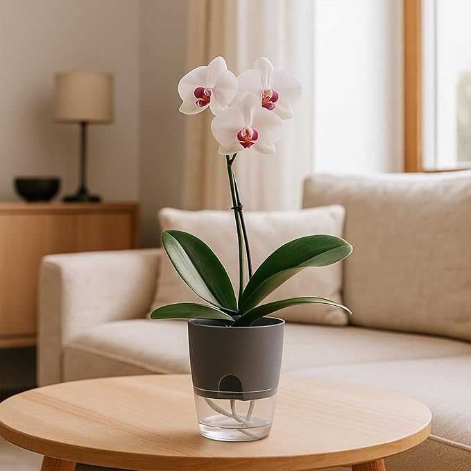Planterhoma 8 Pack Self Watering Pots for Indoor Plants, 6 Inch Plant Pot Plastic Self Watering Planter for Orchid, African Violet, Small Clear Flower Pots with Drainage Holes and Wicking Rope, Gray
