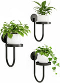Wall Plant Holder – Hanging Planters for Indoor, Window Planter Shelves & Hanger, Indoor Wall Planters, Modern Plant Decor, Black (3 Pack)