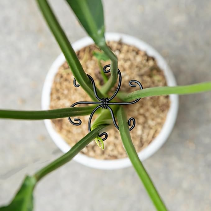 Monstera Plant Stem Support Set - 2.75x2.75 inches 5 Durable Fishbone Design Stabilizers for Indoor Climbing Plants - Perfect Leaf Holders & Gifts for Plant Lovers