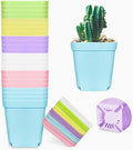 24 Pack 3inch Multi Color Square Plastic Plant Pots,Seedling Nursery Transplanting Planter Container Indoor Outdoor for Your Room,Garden Office and Balcony Decor