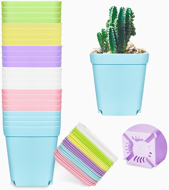 24 Pack 3inch Multi Color Square Plastic Plant Pots,Seedling Nursery Transplanting Planter Container Indoor Outdoor for Your Room,Garden Office and Balcony Decor