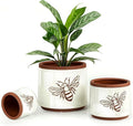 YBX Terracotta Pots Inch with Drainage Holes, Bee Decor, Ceramic Pots for Indoor Plants Flower Pots Outdoor, Succulent, Herbs, Snake Plants (White, 8+6+4 Inch)