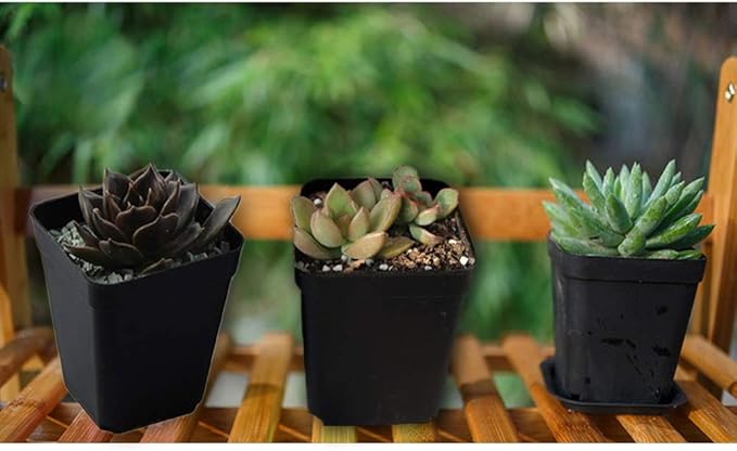 OJYUDD 24 Pack 3 Inch Black Nursery Pot Flower Pots Square Plastic Plant Pot Plastic Starter Pots with Saucer Basket Indoor Outdoor for Your Room,Garden Office and Balcony Decor