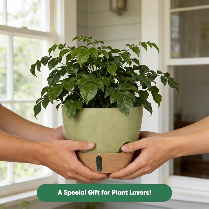 Self-Watering Hanging Planters for Indoor Plants Set 2-Piece Includes Plant Hanging Pot, Drainage-Hole Hanging Pot, and Hanging Basket Rack (10 Inches, Green)