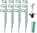 FEED GARDEN 16 Inch 12 Pack Plant Support Stakes, Metal Garden Flower Stakes and Supports for Outdoor Plants, Plant Stem Support with 24 Twist Ties for Amaryllis Lily Rose Peony Tomatoes Gladiolus