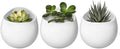 Mkono 4 Inch Wall Mounted Planter Round Ceramic Hanging Plant Holder Decorative Flower Display Vase Succulent Pots for Indoor Plants, Set of 3, White (Plants NOT Included)