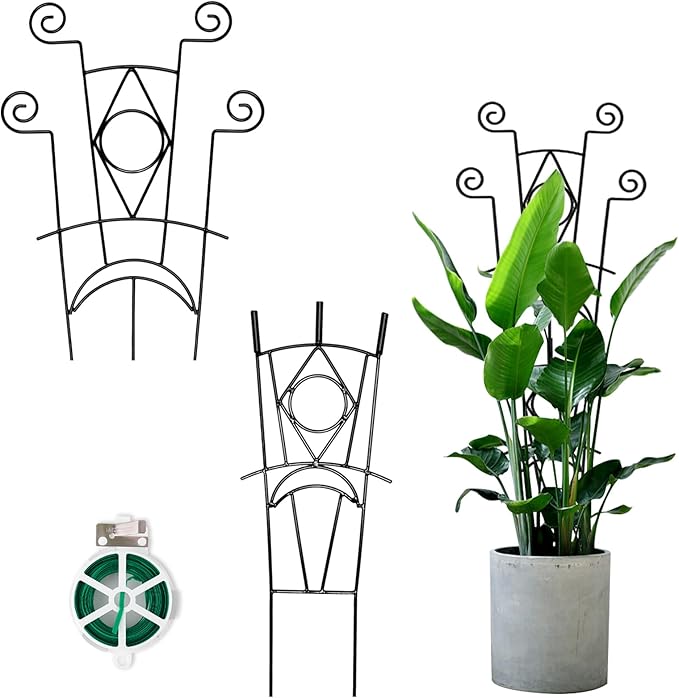 Indoor Plant Trellis for Climbing Plants 2 Pack Small Garden Metal Support for Potted Plants Flowers Houseplants for Outdoor