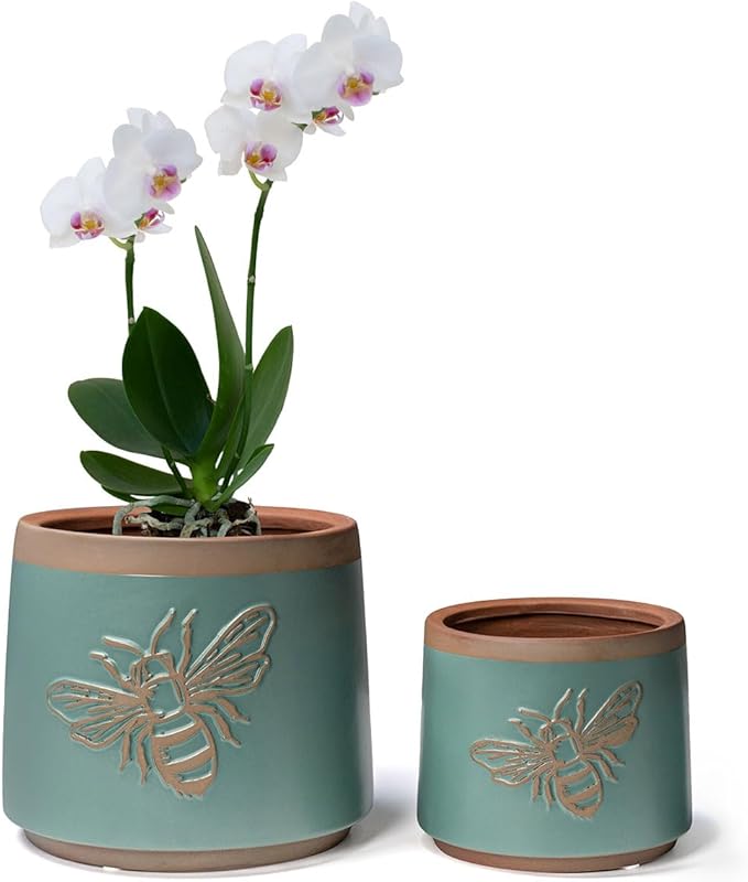 YBX Terracotta Pots with Drainage Holes, Bee Decor, Planter for Indoor Plants, Flower Pots Indoor Succulent, Herbs, Snake Plants (Turquoise, 6+4 Inch)